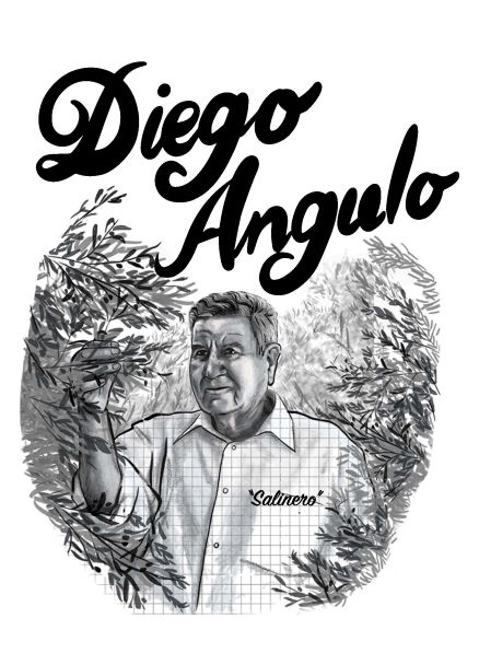 Logo Diego Angulo Salinero