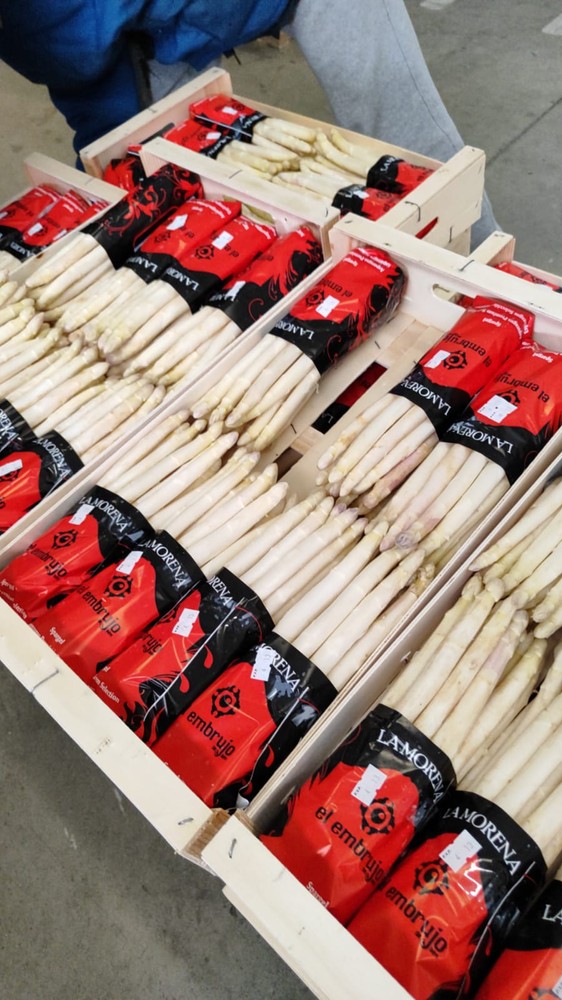 Imagen de la empresa Paspem Espárragos