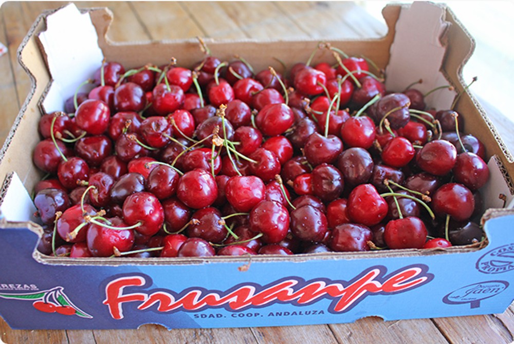 9a310ea247f029a9692dff759ce1e361