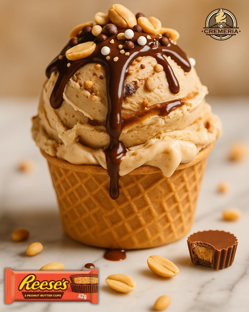 9341c1a809b2db3c2d42e28782e95e51