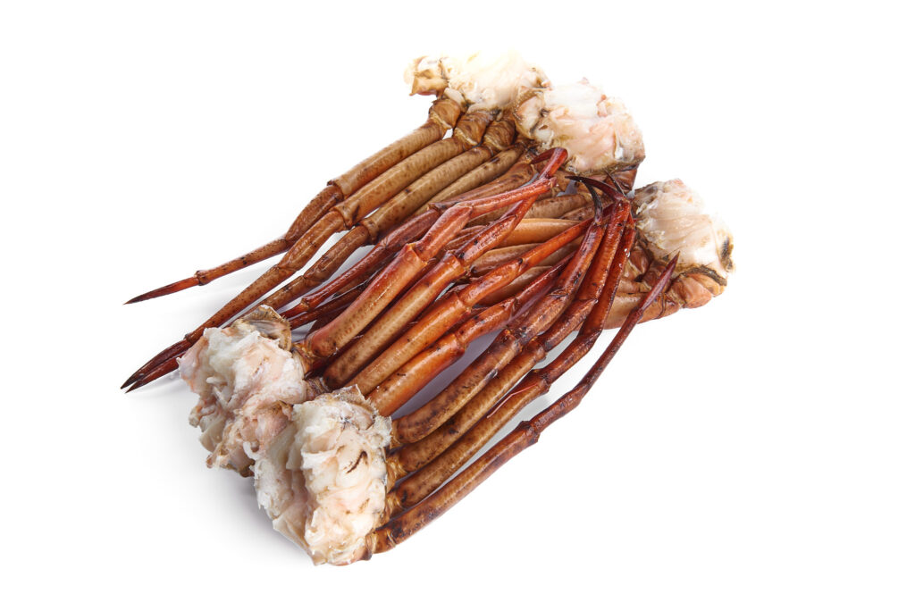 vixuart-la-mar-sala-012-1