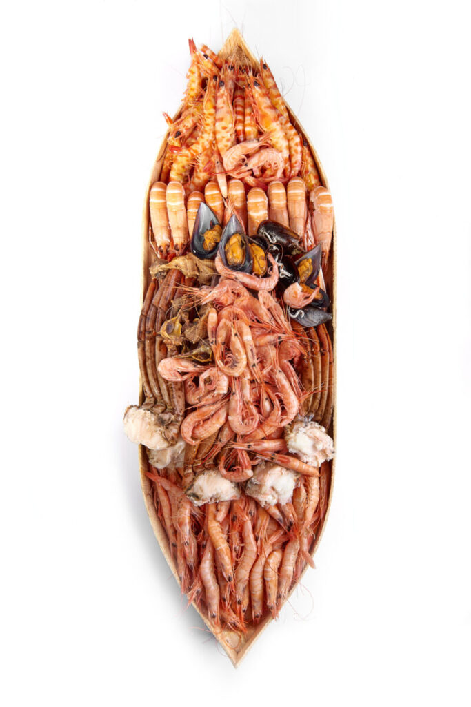 vixuart-la-mar-sala-114-800x1199