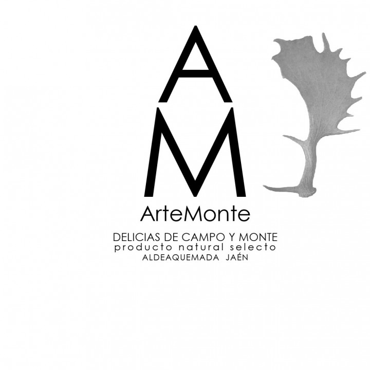 Logo ArteMonte bueno